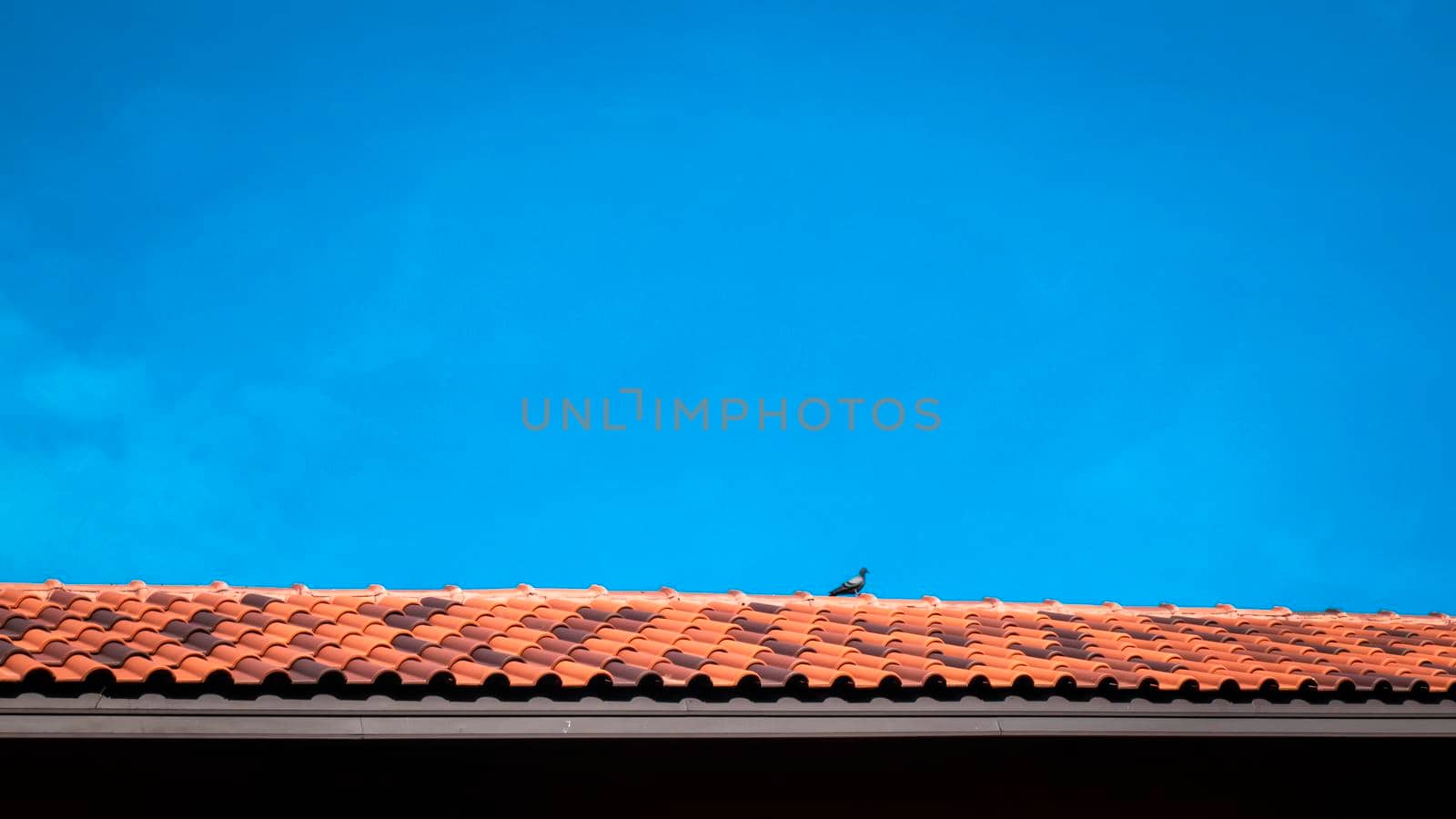 red clay roof and a bird with blue sky background