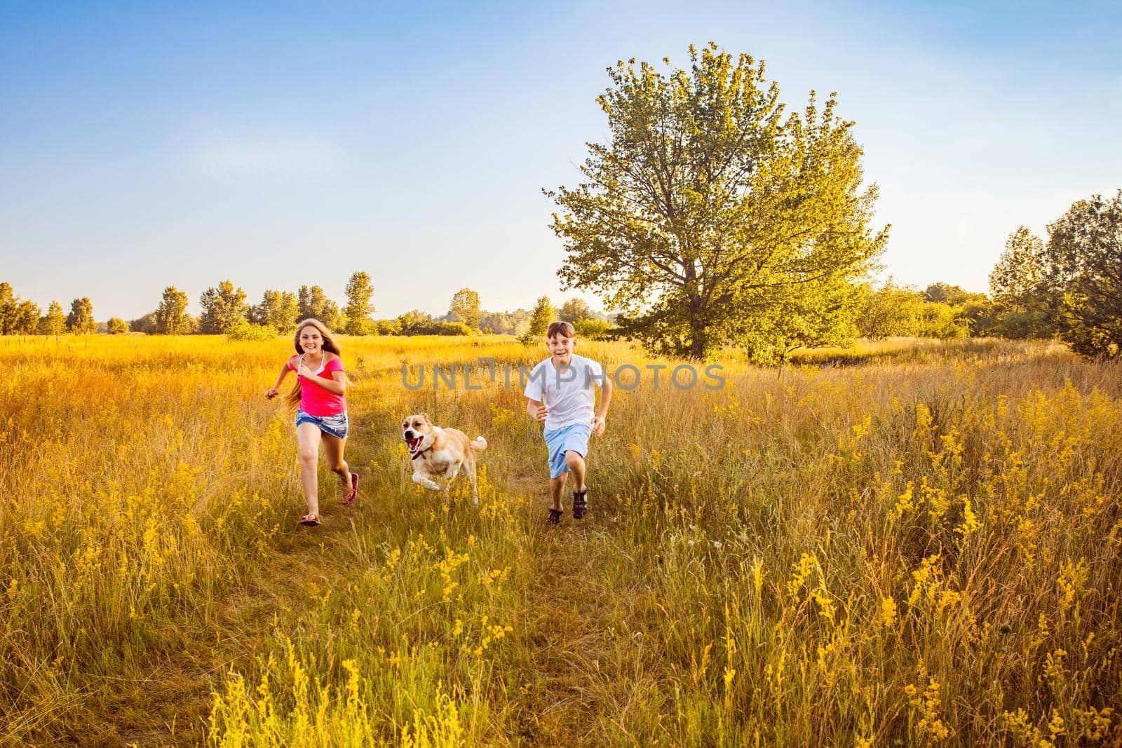 Brother and sister runs in a green field with their beautiful Alabai pet dog.