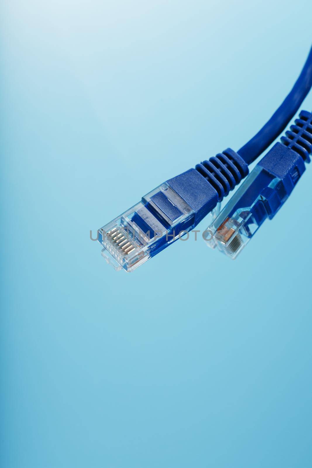 Ethernet Cable connector Patch cord cord close-up on a blue background with free space by AlexGrec