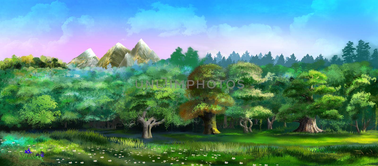 Deciduous forest landscape illustration by Multipedia
