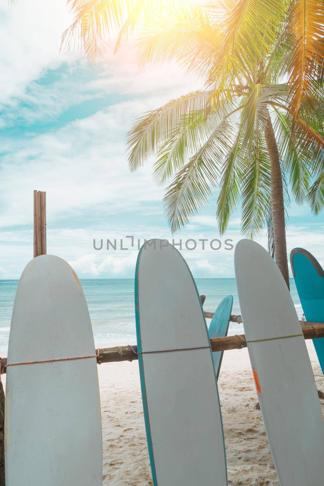 Many surfboards for rent  at summer beach with sunlight  blue sky background. 