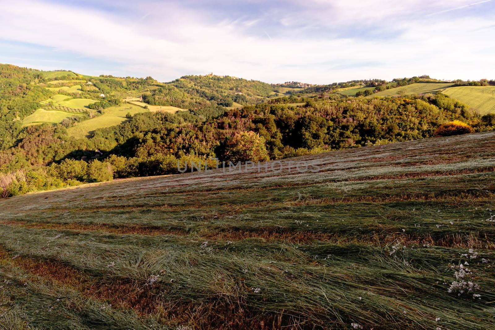 View of fields under Belvedere Fogliense, Region Marche of Italy. In the background appears the medieval city of Mondaino