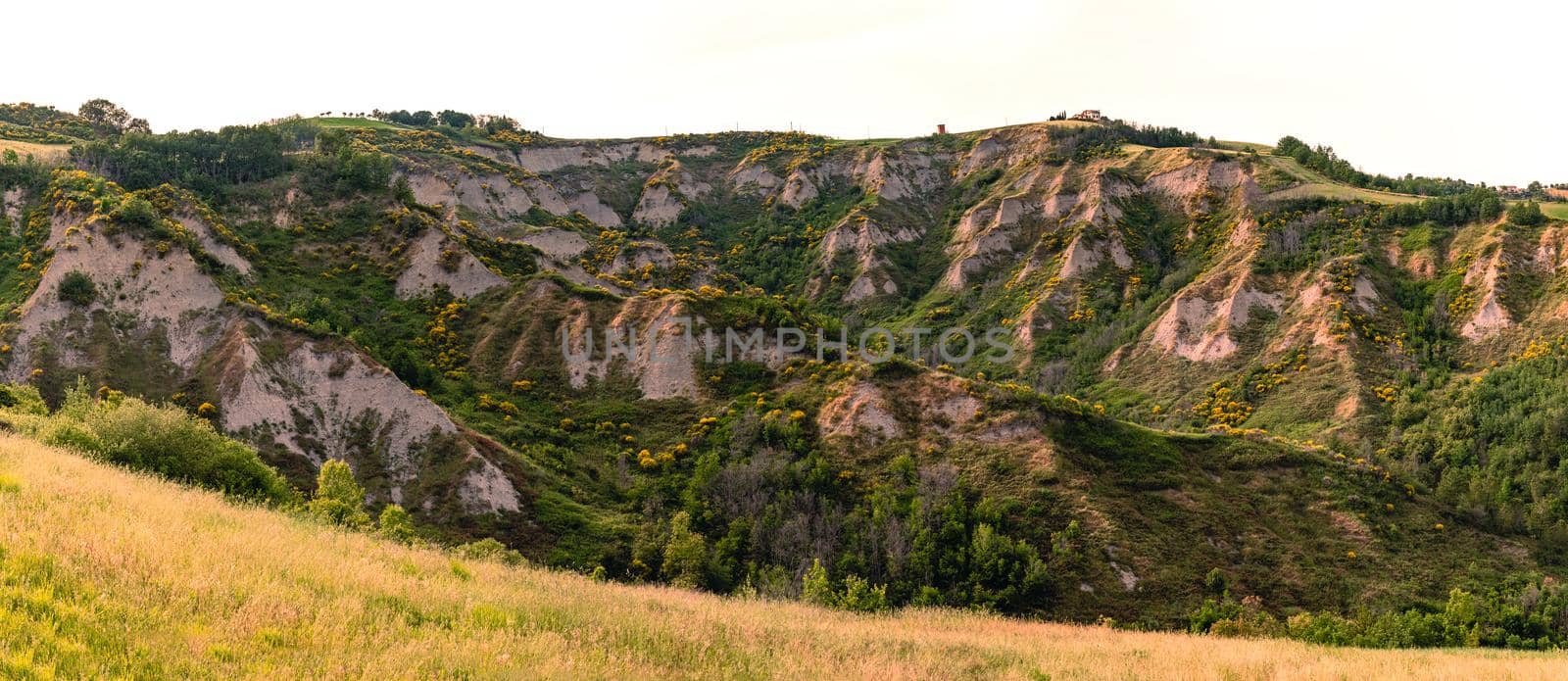 Eroded hills in Montespino, near Pesaro and Urbino in Italy by MaxalTamor