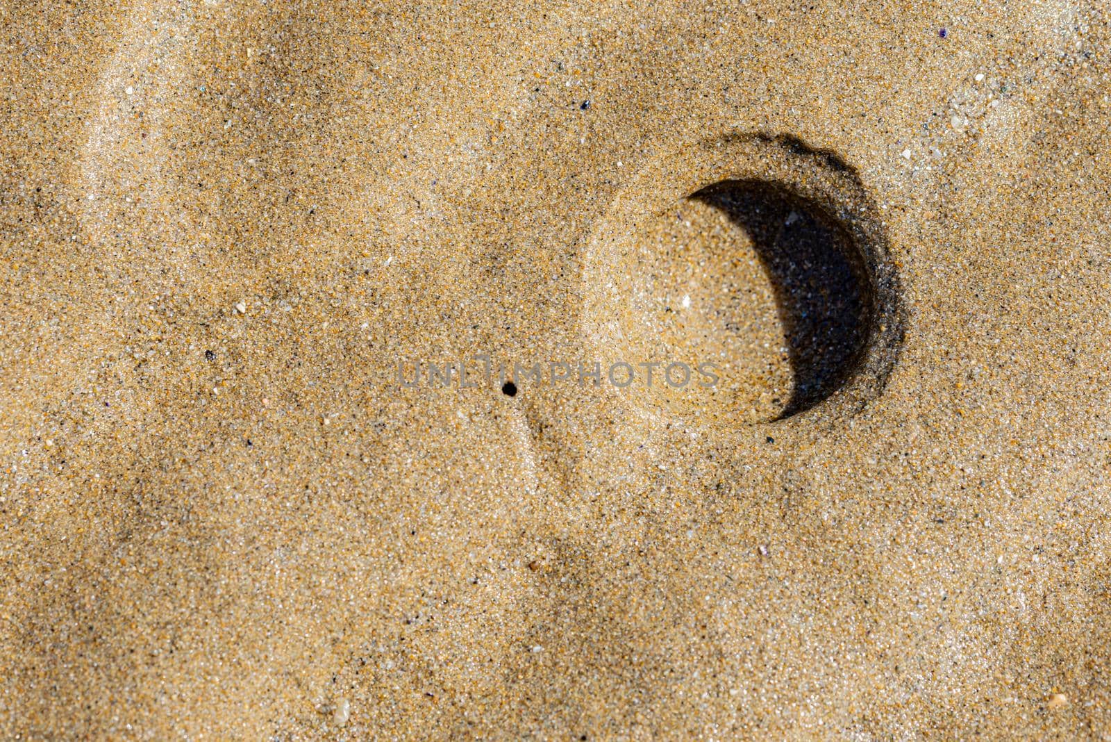 Holes of Solen Marginatus, also known as Grooved Razor Shell, Cannolicchio or Cappalunga, in the sand of the beach on the Italian Adriatic coast