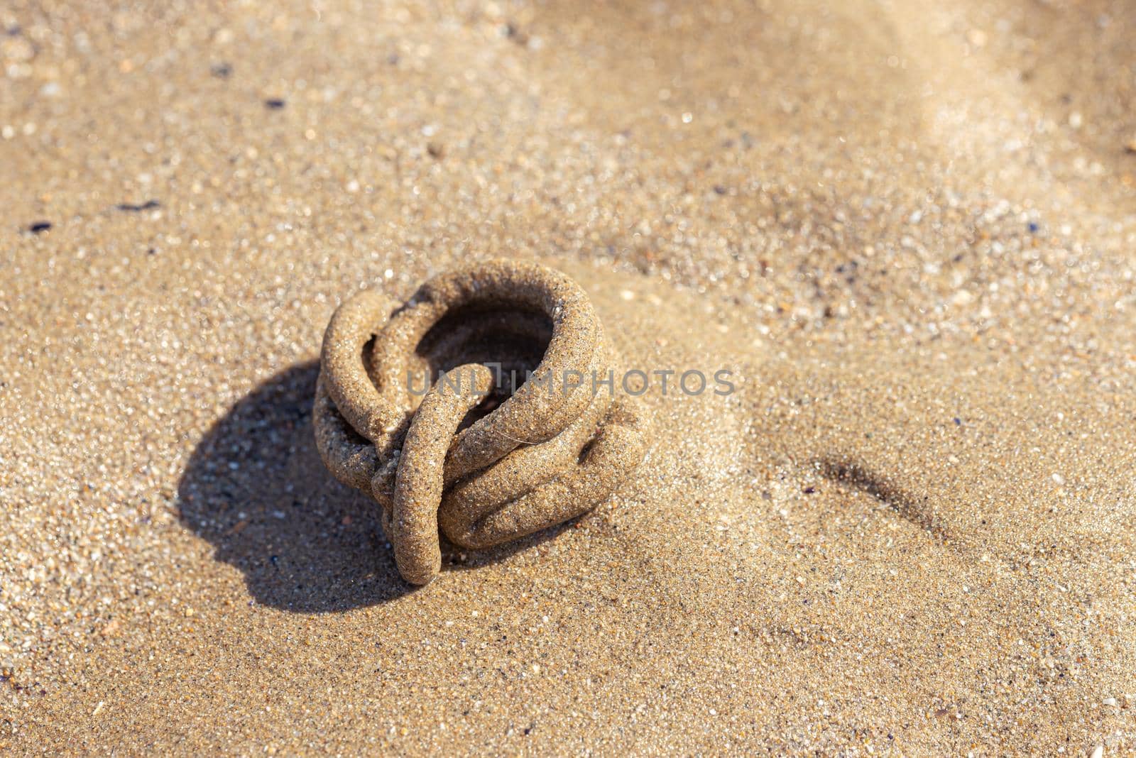 Arenicole sea twist on the sand of a beach by MaxalTamor