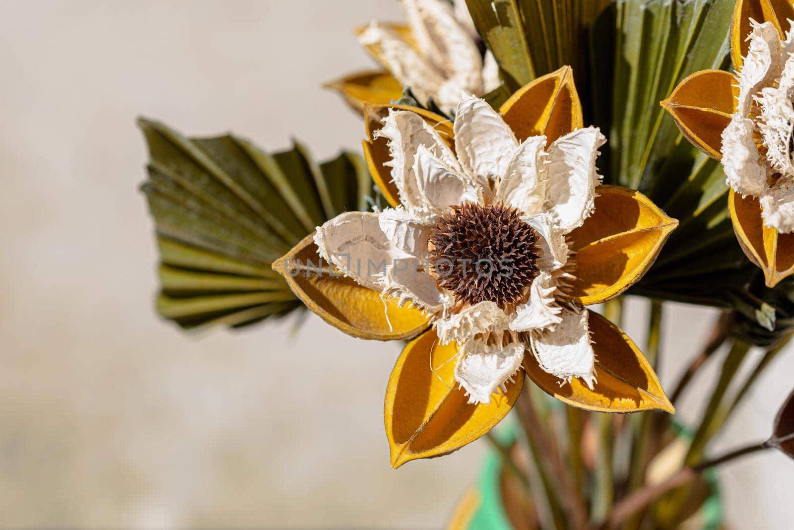 Detail of a decorative yellow and white flower