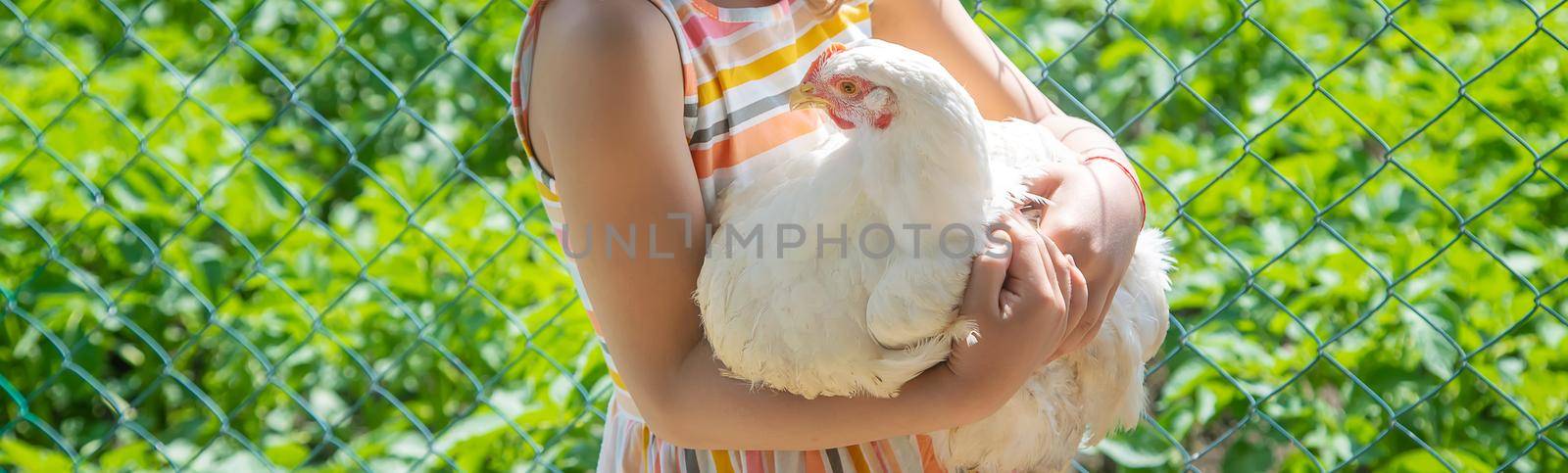 A child on a farm with a chicken. Selective focus.