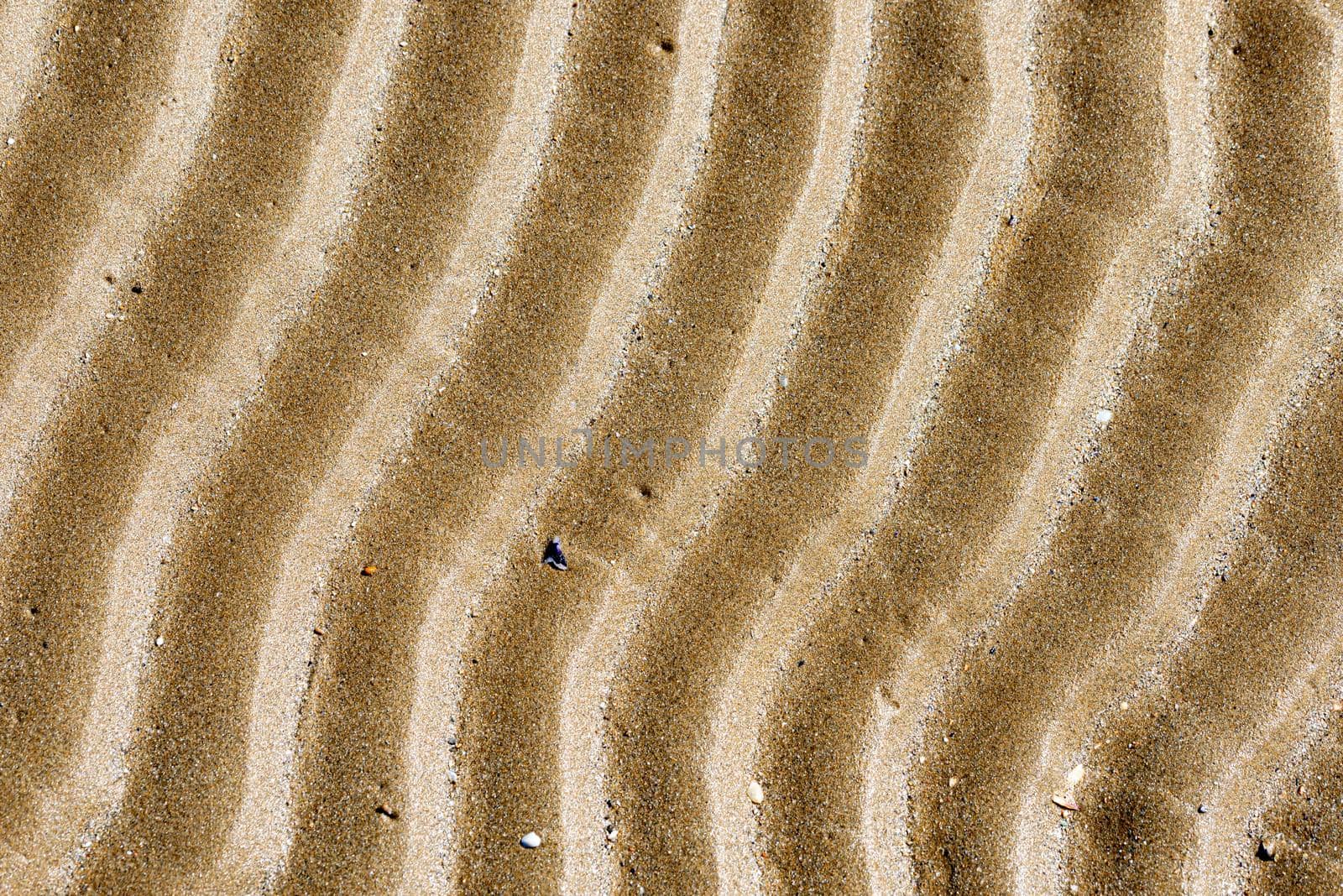 Sand texture on the beach close to the Adriatic sea in Italy