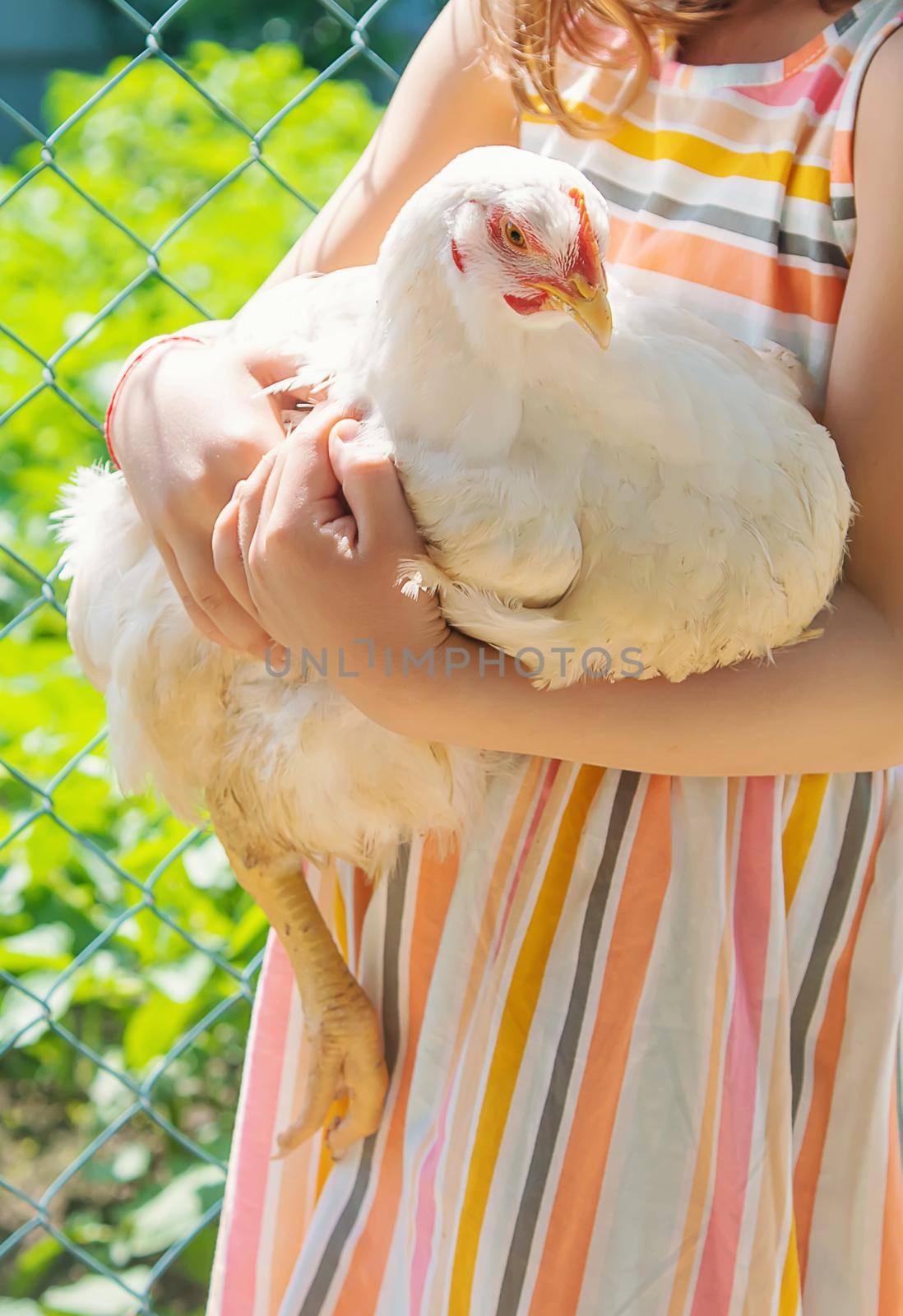 A child on a farm with a chicken. Selective focus.