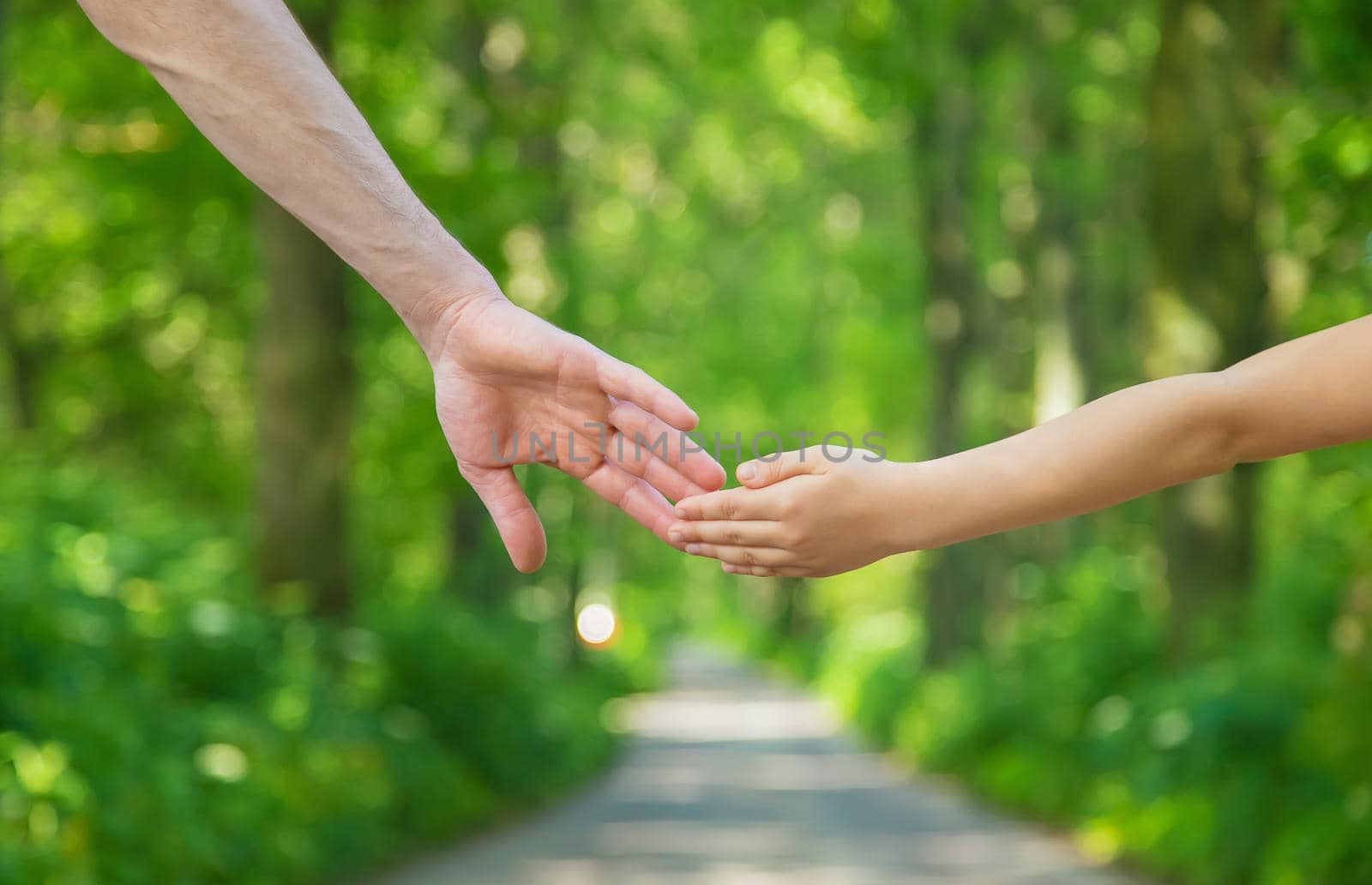 Father and child go holding hand. Selective focus. nature.