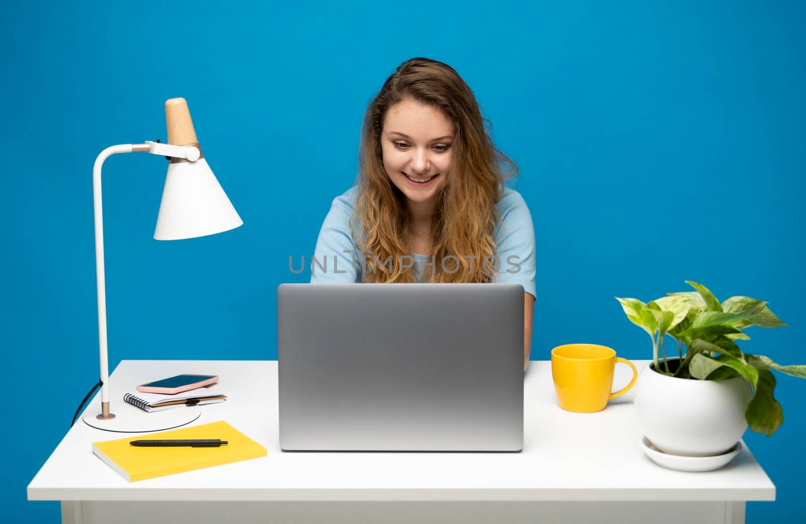 Young curly woman in a blue t-shirt studying from studio using laptop computer over a blue background. Serious beautiful young woman typing on laptop in a bright modern office