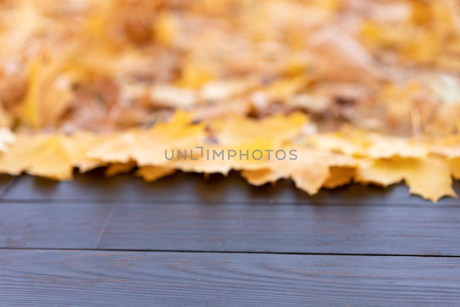 Empty wooden table nature bokeh background with autumn yellow maple leaf boarder Template mock up for display of product Copy space. Mock up for your design.