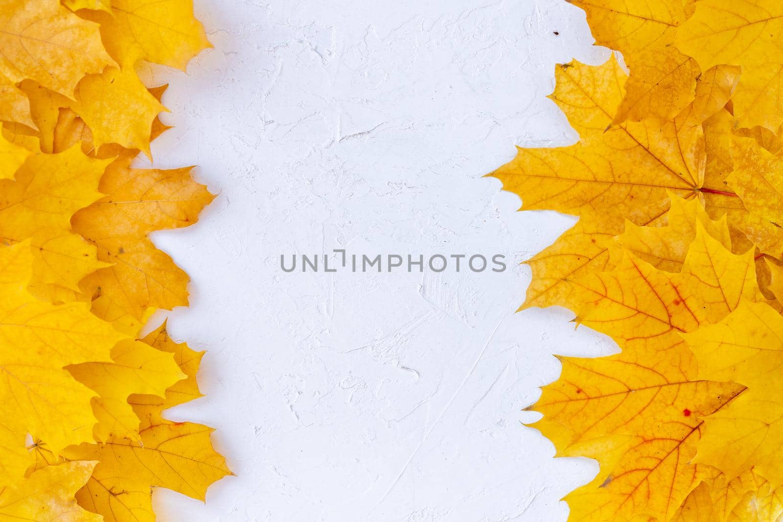 Autumn leaves frame left right side white structured background top view Fall Border yellow and Orange Leaves vintage background table Copy space. Mock up for your design. Display for product or text