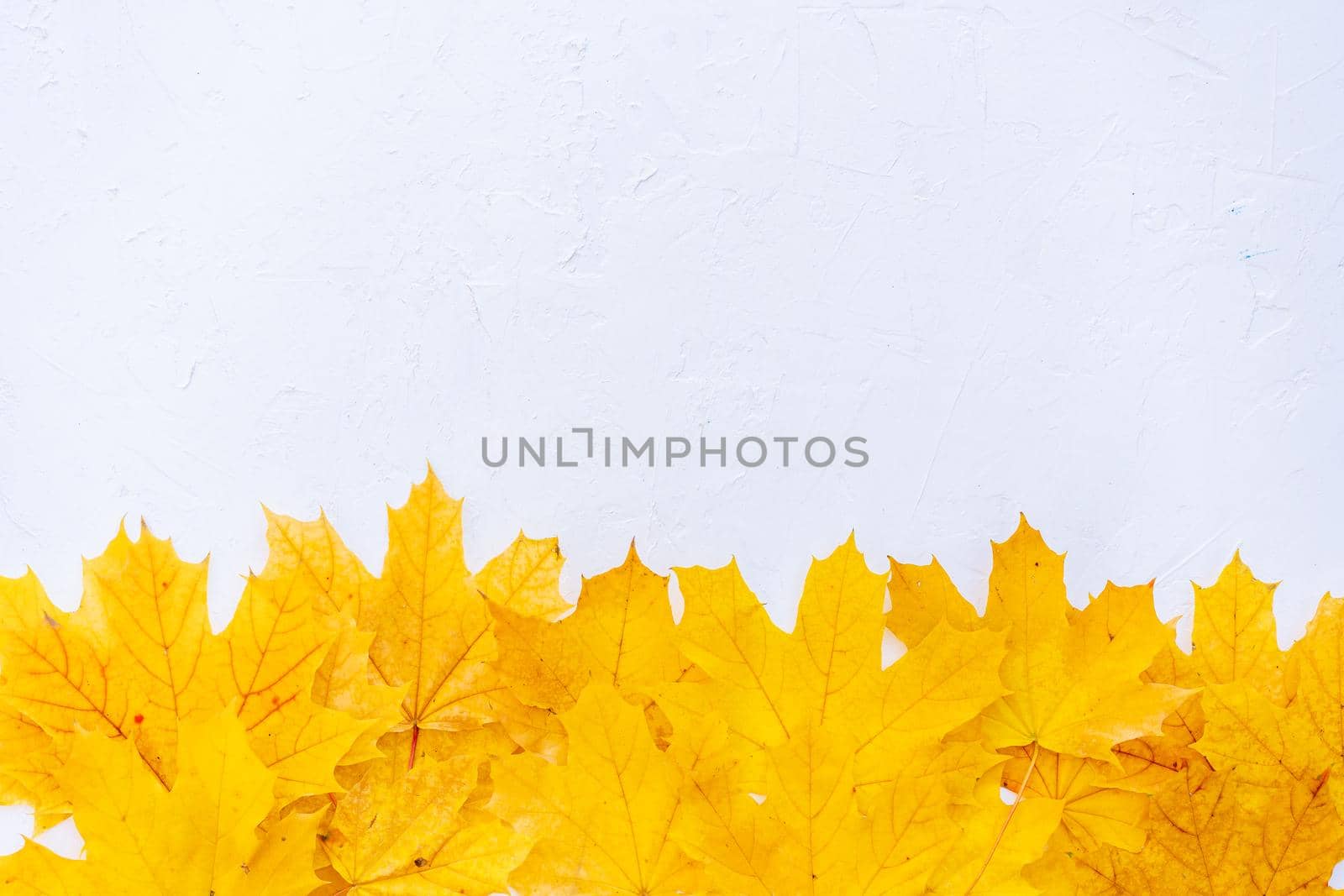 Autumn leaves frame on down side white structured background top view Fall Border yellow and Orange Leaves vintage background table Copy space. Mock up for your design. Display for product or text