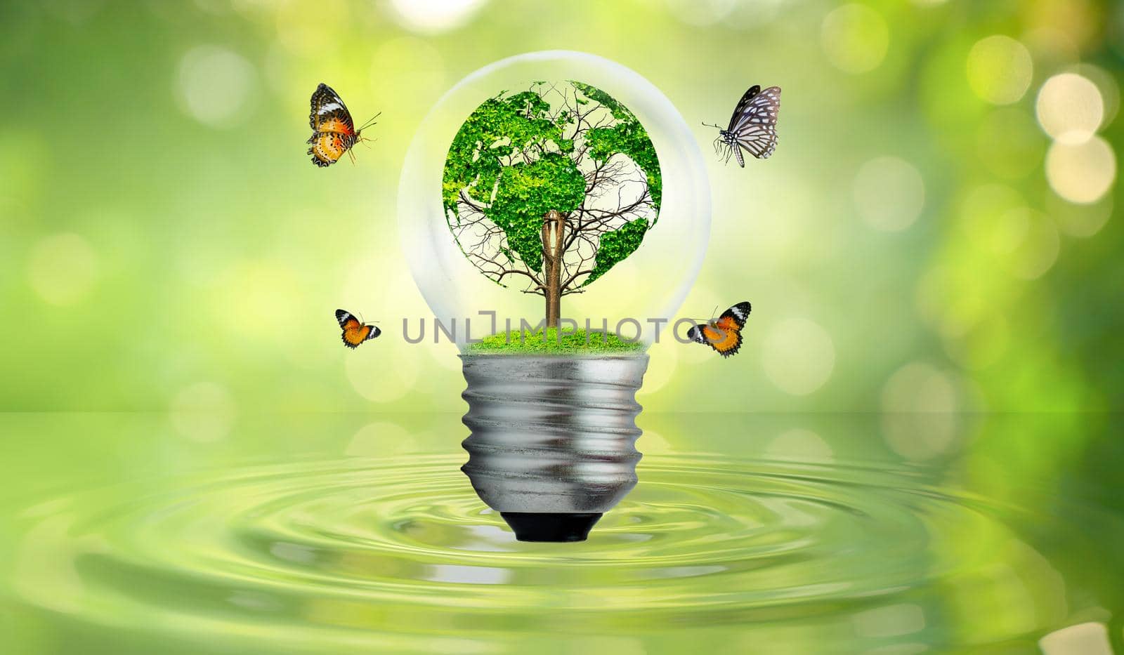 world shaped tree in light bulb concept of environmental conservation and protecting nature