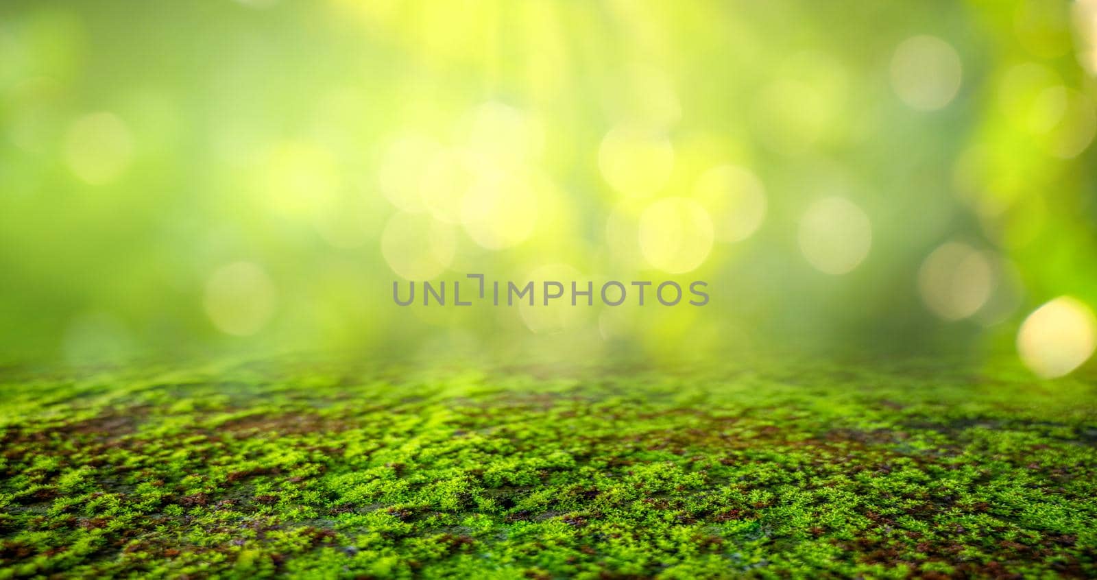 Green Moss background, mossy texture by sarayut_thaneerat