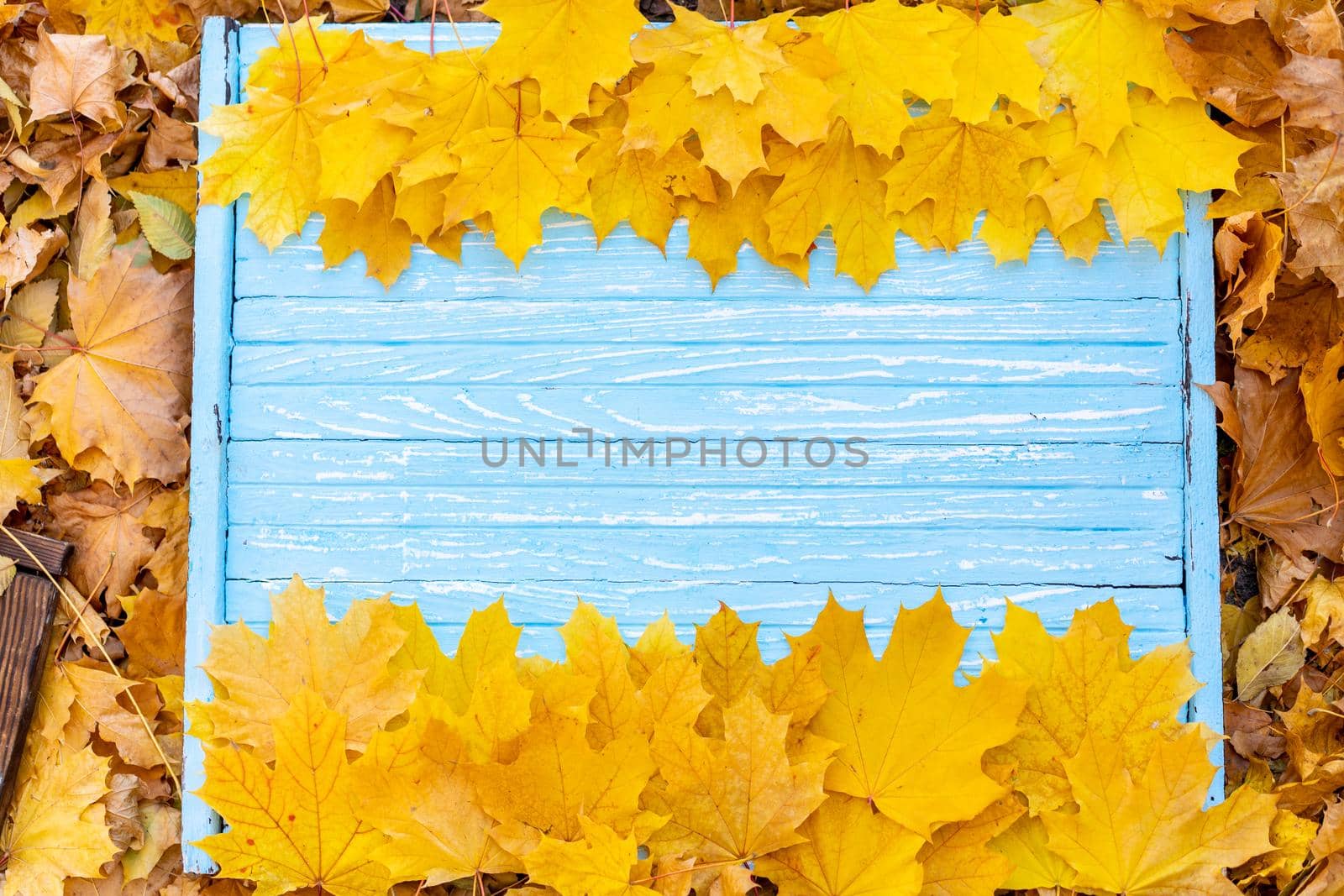 Autumn leaves frame on one down and up side wooden blue background top view Fall Border yellow and Orange Leaves vintage wood table Copy space. Mock up for your design. Display for product or text