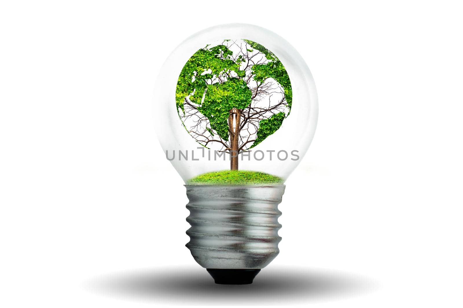 world shaped tree in light bulb concept of environmental conservation and protecting nature