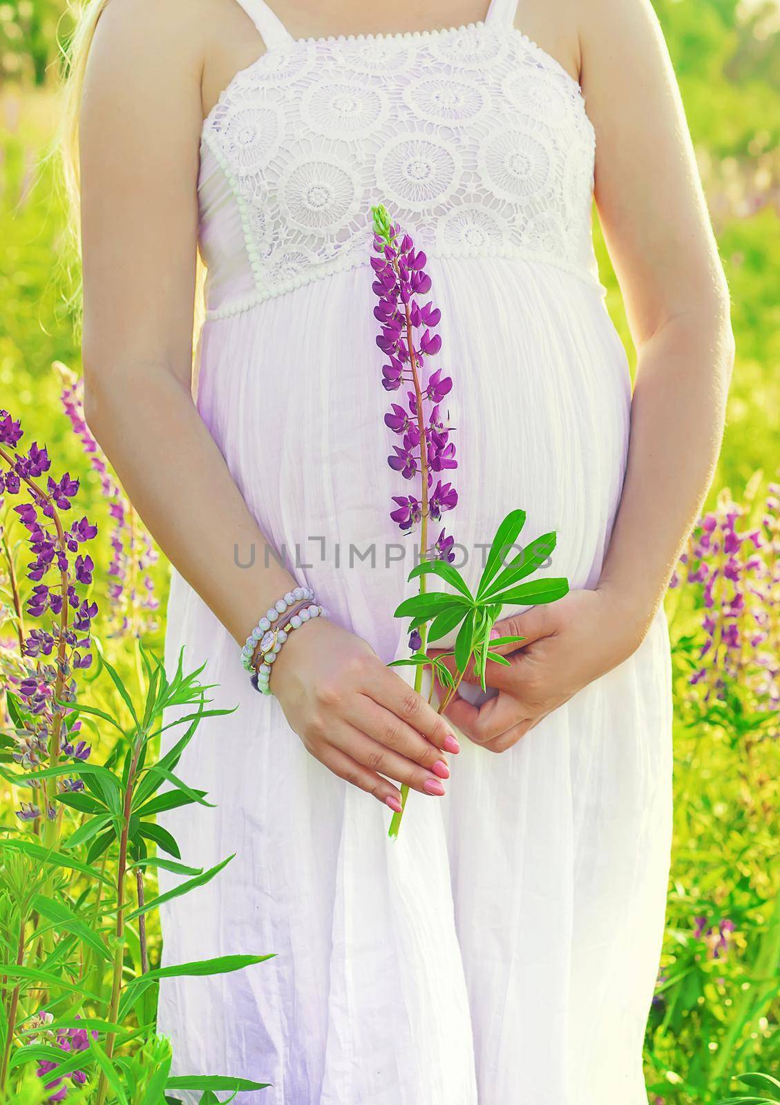 Pregnant woman in a lupine field. Selective focus. nature.