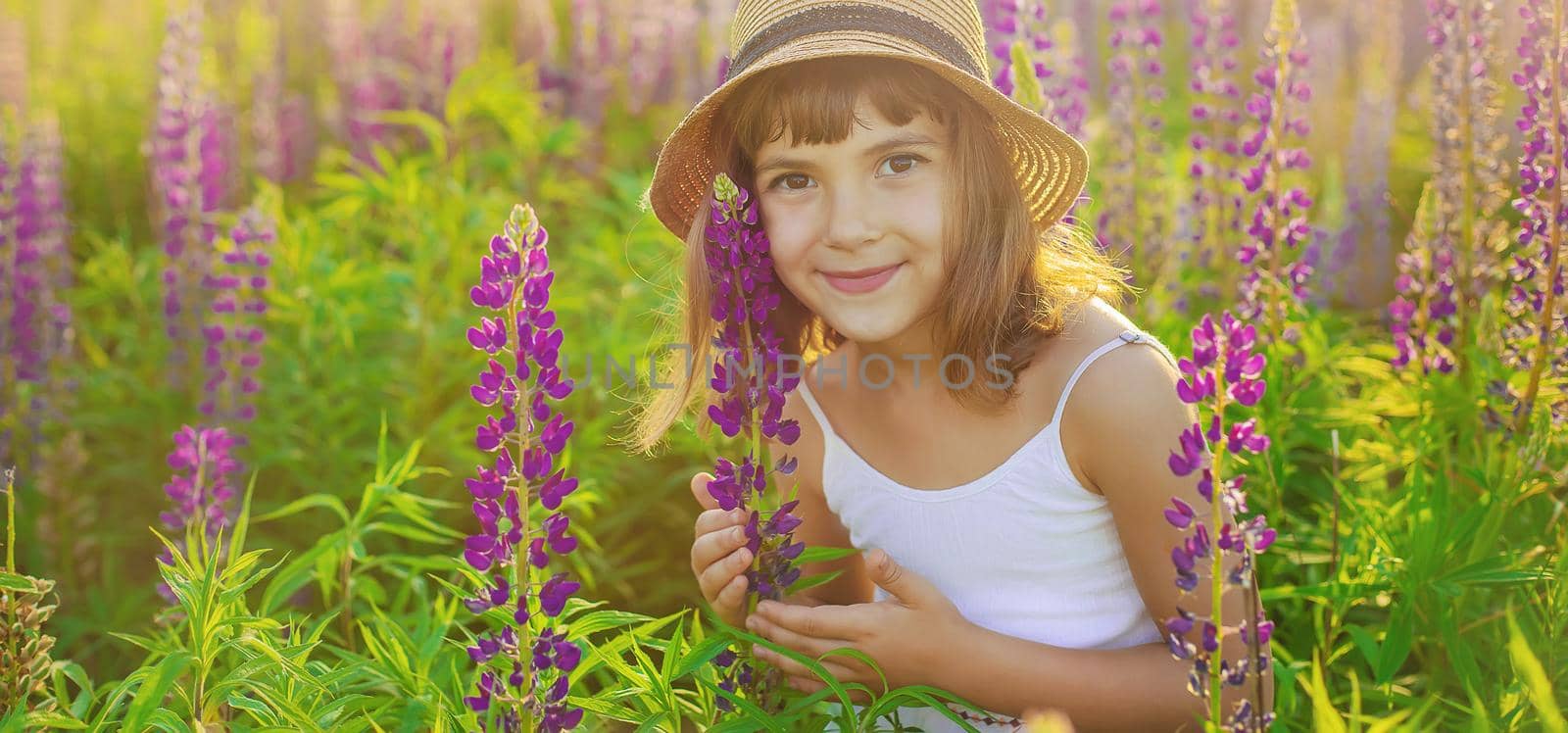 Child photo shoot in a lupine field .season allergies. Selective focus. nature.l