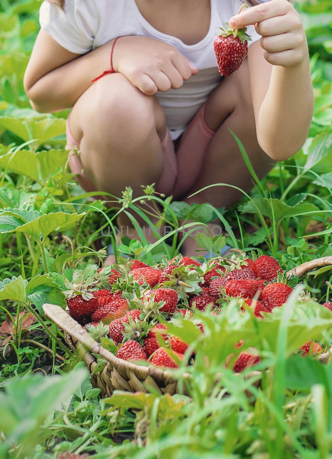 A child with strawberries in the hands. Selective focus. by yanadjana