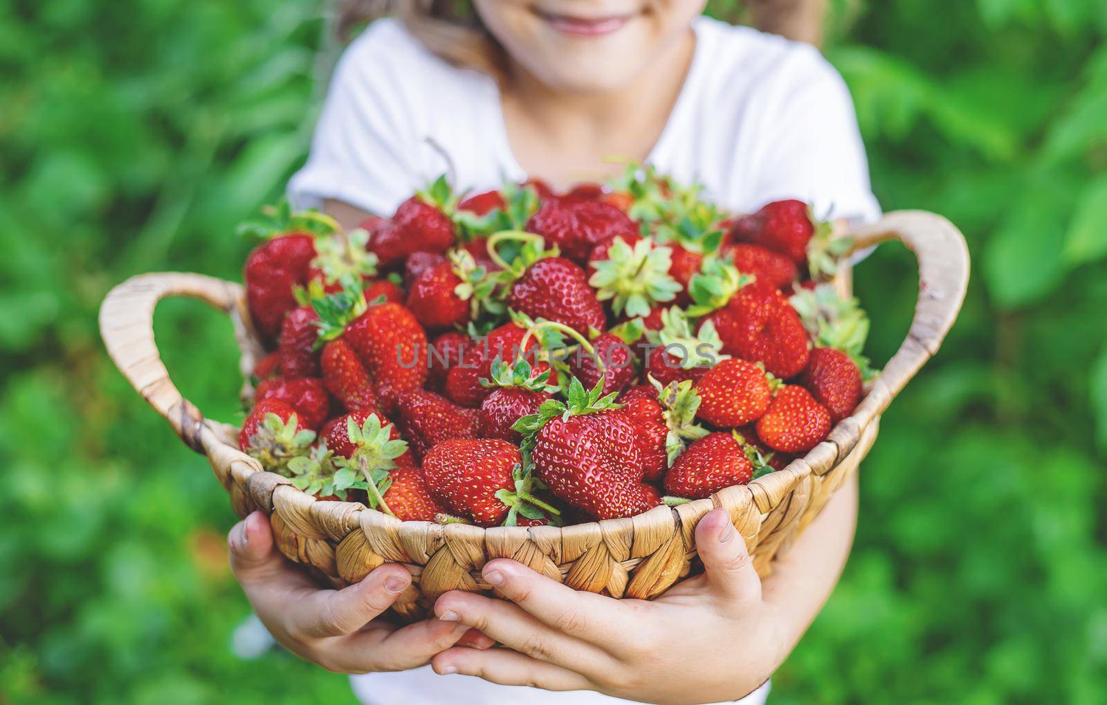 A child with strawberries in the hands. Selective focus. by yanadjana