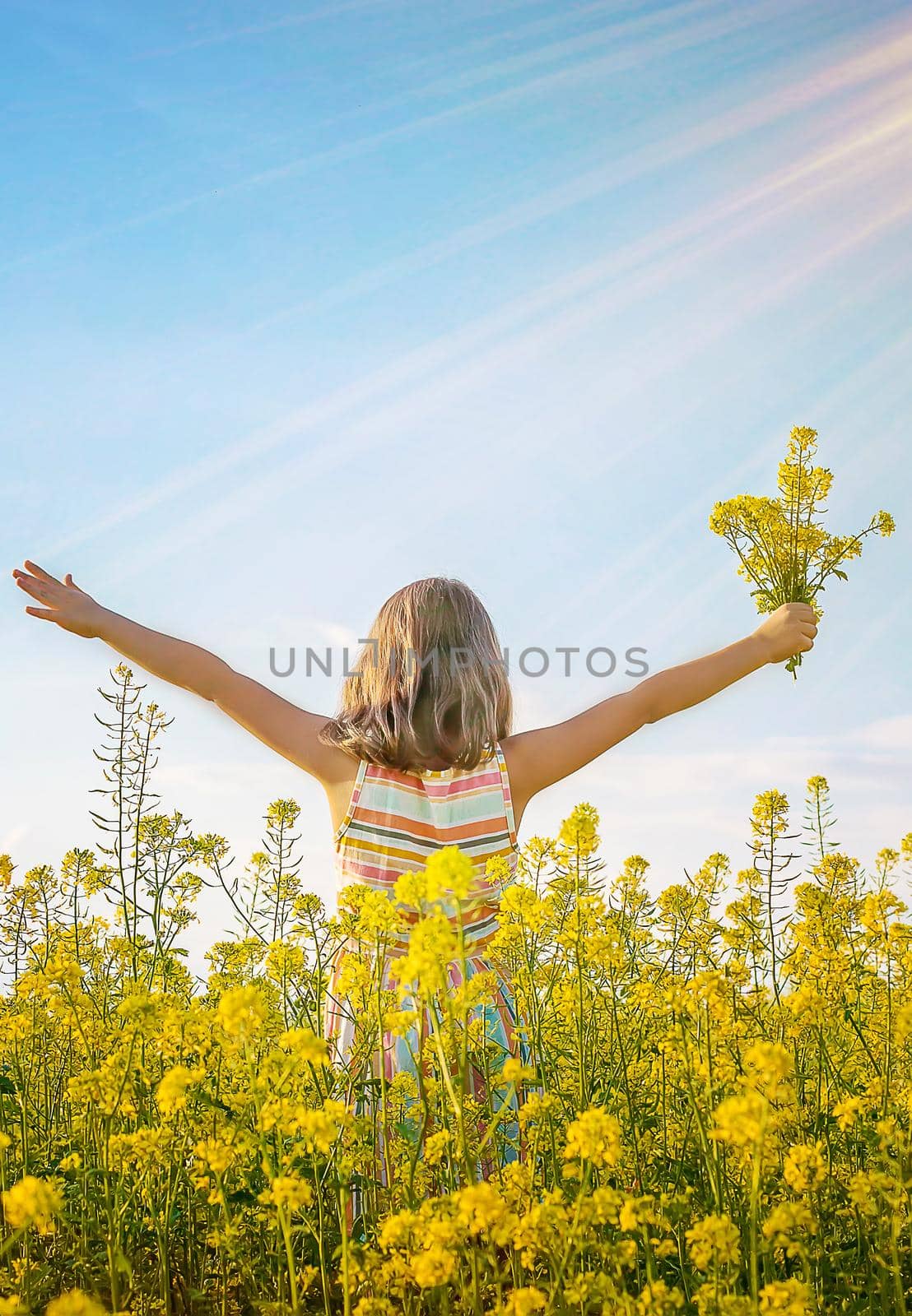 A child in a yellow field, mustard blooms. Selective focus. nature.