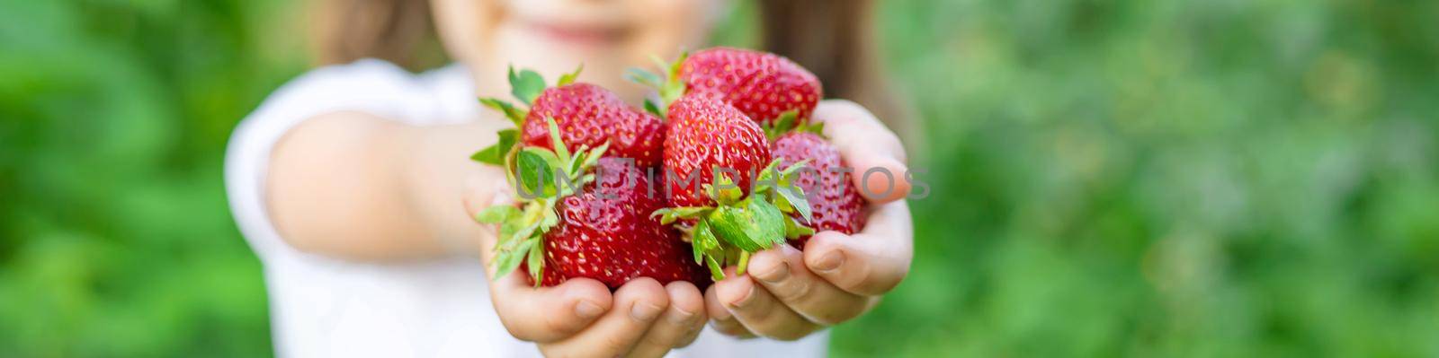 A child with strawberries in the hands. Selective focus. food.