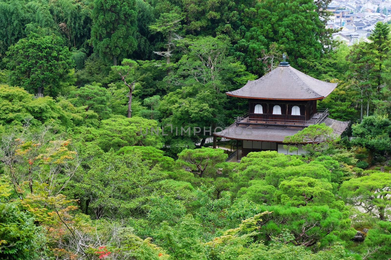 Ginkaku-ji temple in Kyoto, Japan by norgal