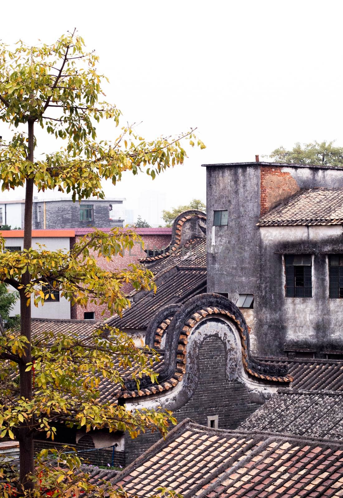 Shawan ancient town traditional roof called Wok handle-shaped roofs in Guangzhou . The Lingnan style curved roofs in old town .traditional architecture .