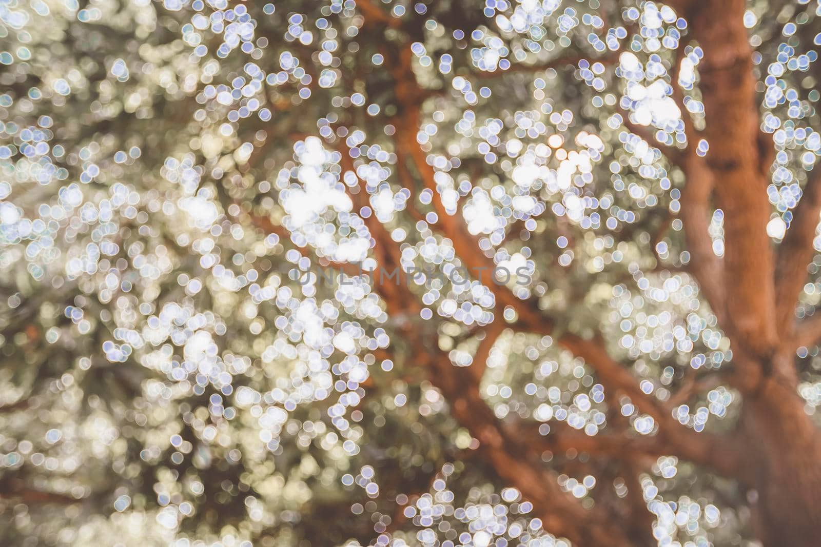 Vintage Tone Blur Image of Abstract Bokeh of Light over Tree .old wood and tree bokeh background with sunlight, a color of vintage tone concept