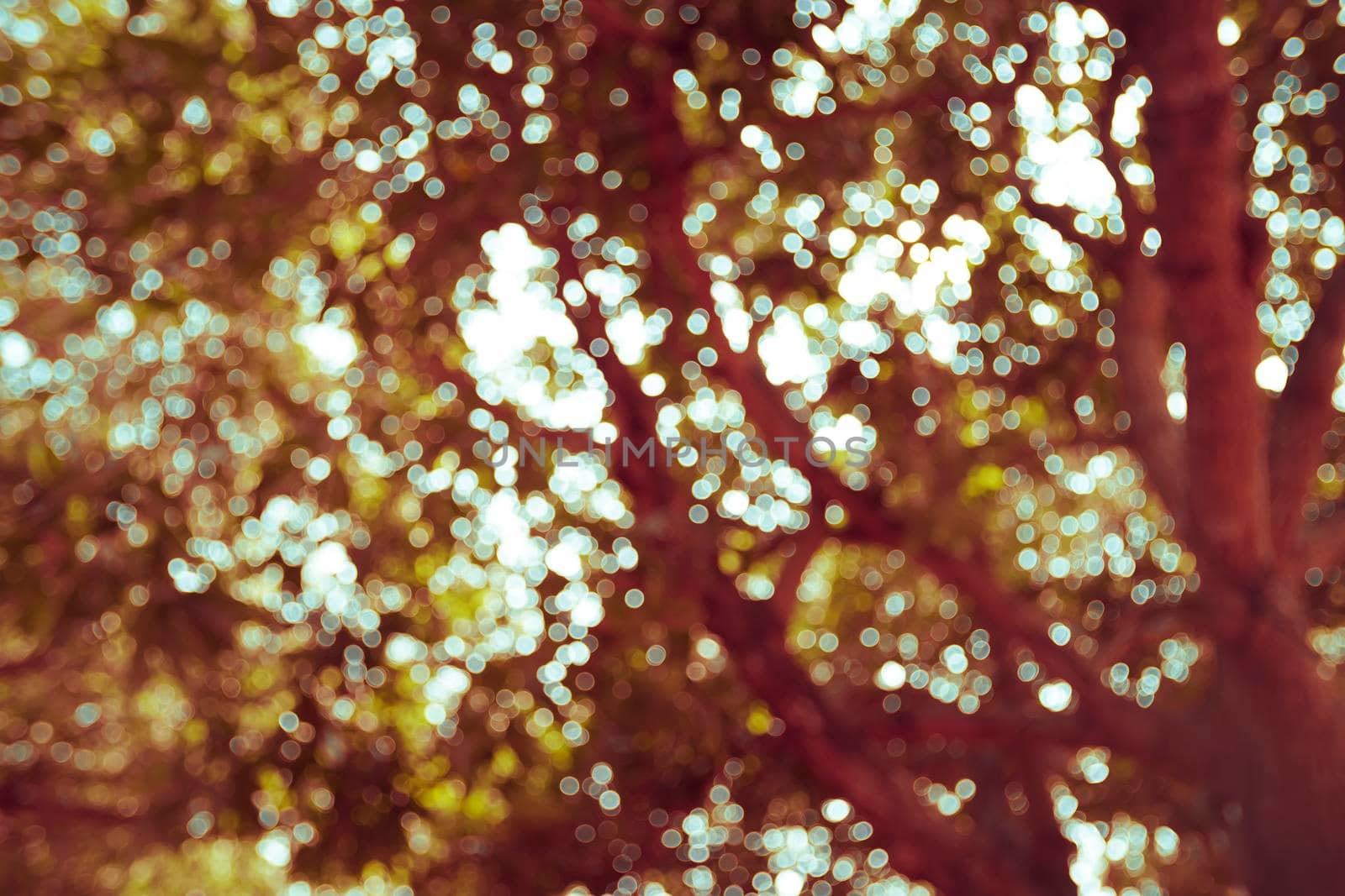 Vintage Tone Blur Image of Abstract Bokeh of Light over Tree .old wood and tree bokeh background with sunlight, a color of vintage tone concept