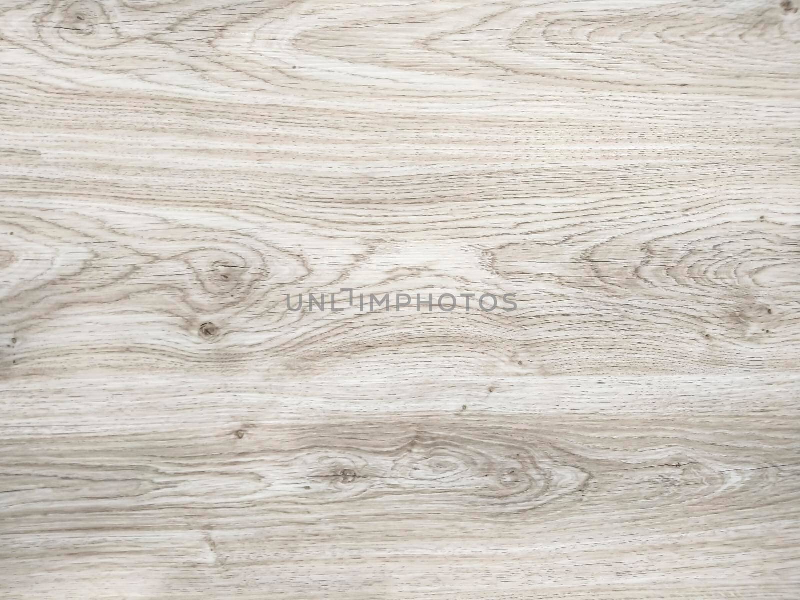 Natural Oak Texture. Gray wood oak floor texture natural pattern background. by Petrichor