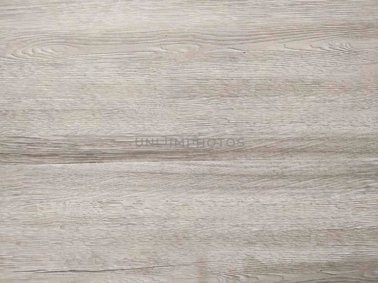 Natural Oak Texture. Gray wood oak floor texture natural pattern background. by Petrichor