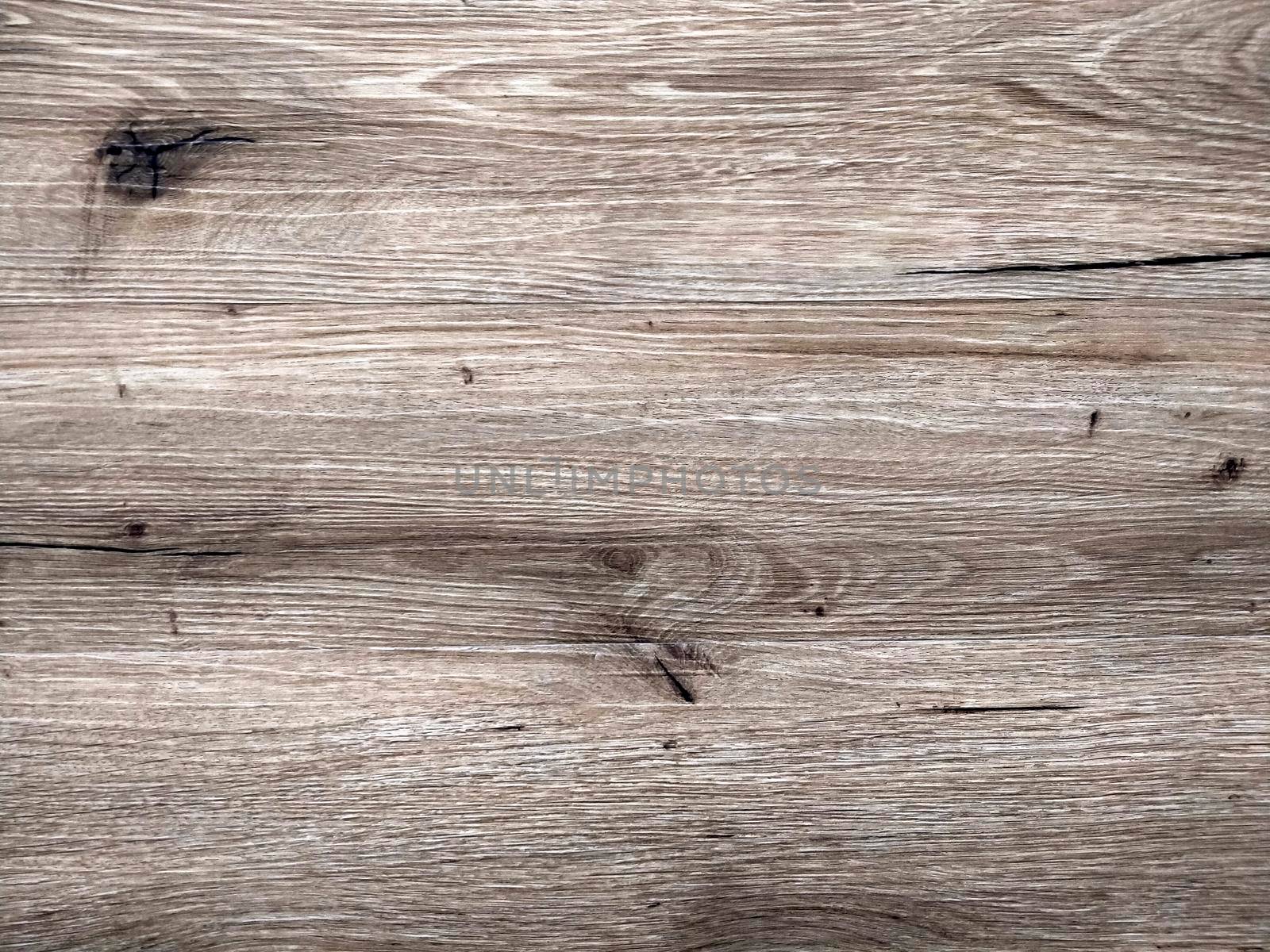Natural Oak Texture. Gray wood oak floor texture natural pattern background.
