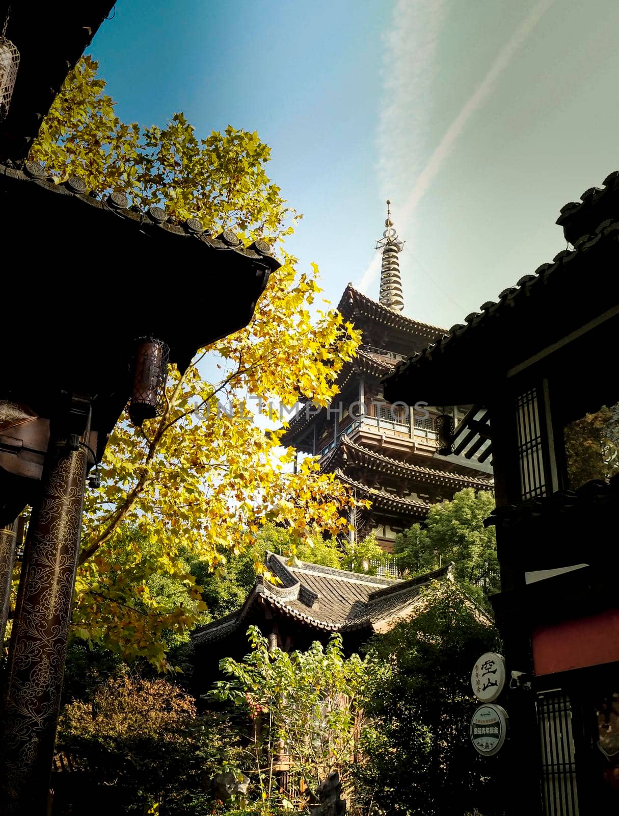 Traditional temple Shrine architecture in Osaka with autumn leaves in Japan China Fall Leaves.