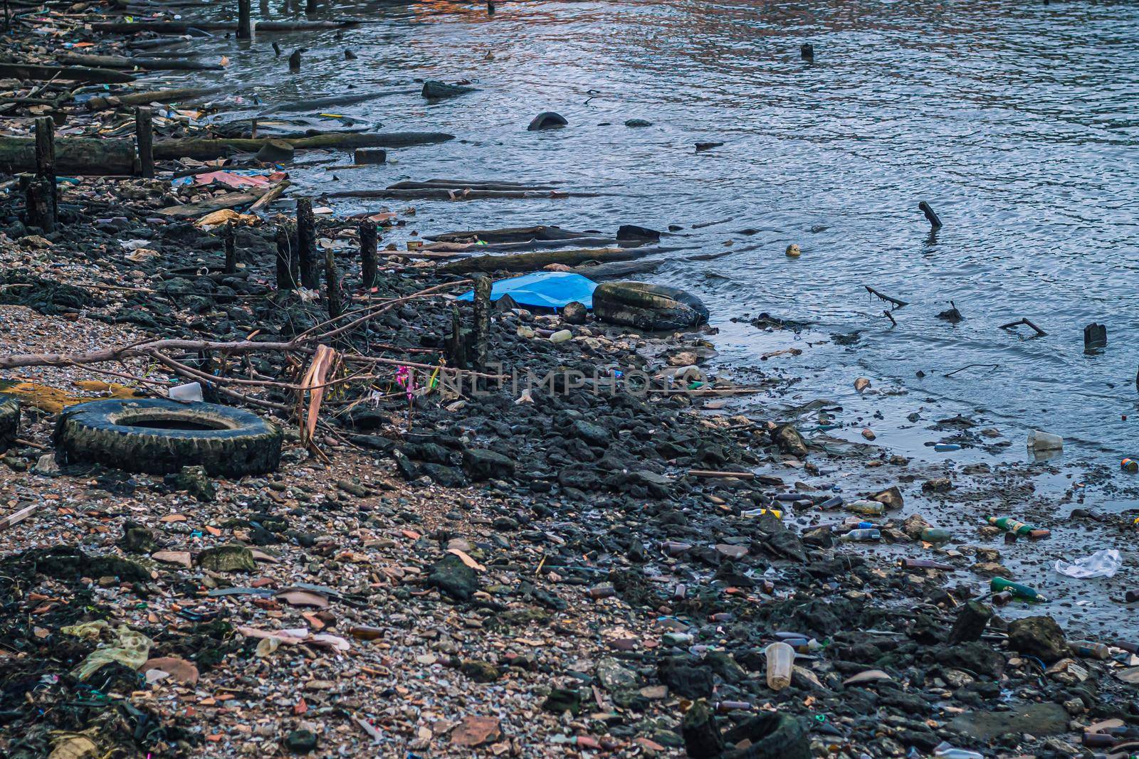 Ocean plastic a planetary crisis. Garbage on beach coat is global warming problem climate change effect animals life style.