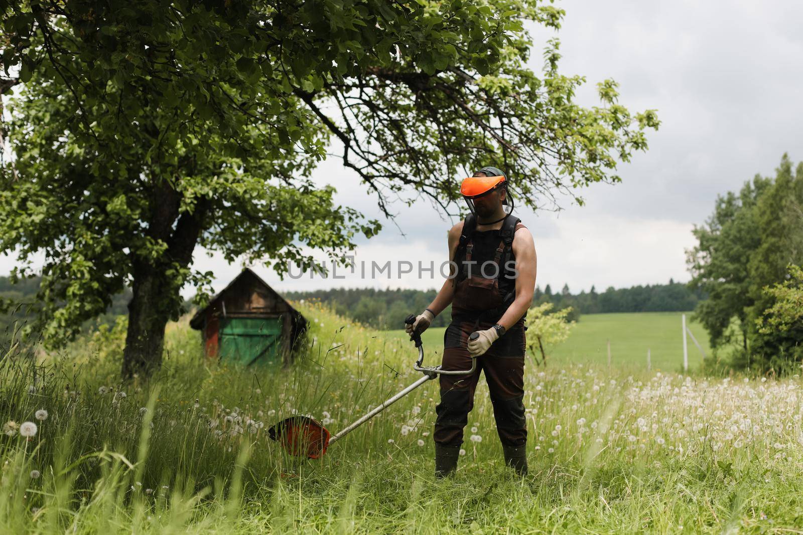 Worker man mowing tall grass with petrol lawn trimmer in the garden or backyard. Process of lawn trimming