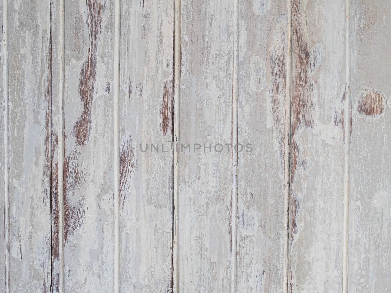 White Wood Backdrop Rustic Old Weathered Peeled Vintage Retro White Painted Grey Wooden Planks Wall