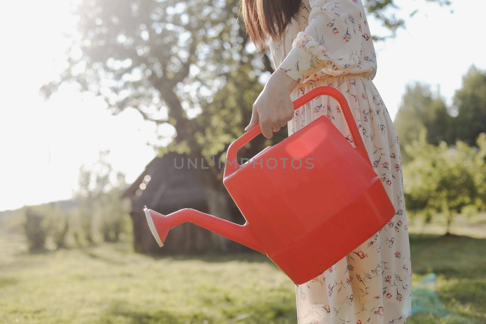 Young female gardener watering the plants in the garden in summer. Young woman with a watering can.