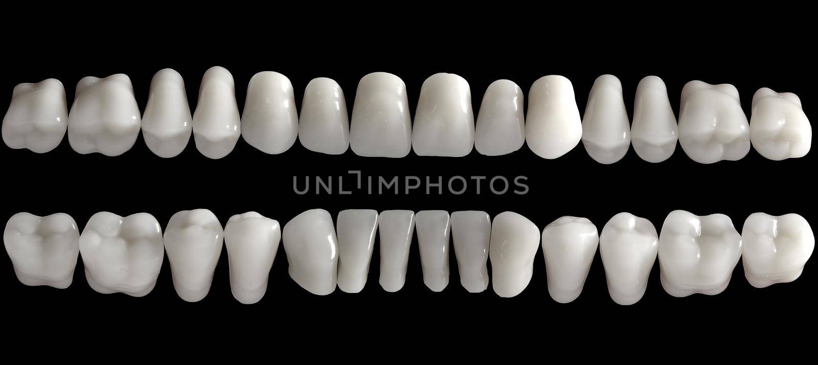 Tooth samples on black background by adamr