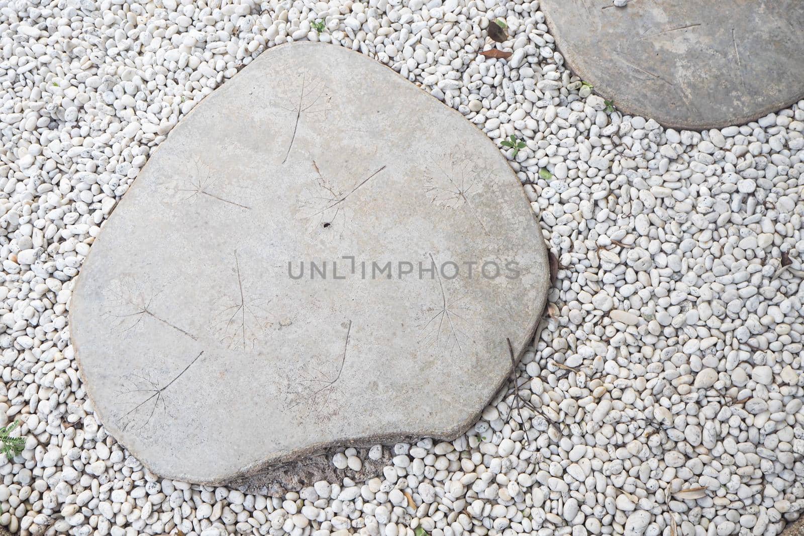 GARDEN STONE PATH. Dry leaf texture on white stone for footpath in rock garden hardscape.