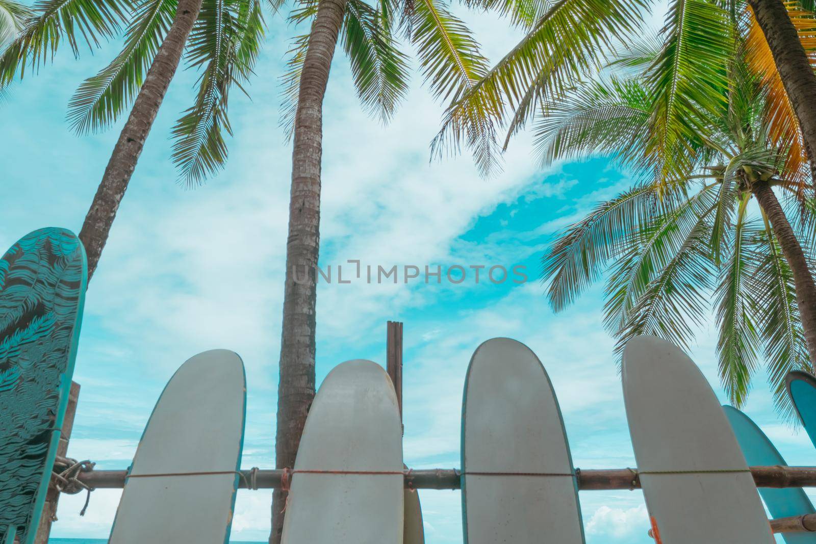 Many surfboards for rent  at summer beach with sunlight  blue sky background. 