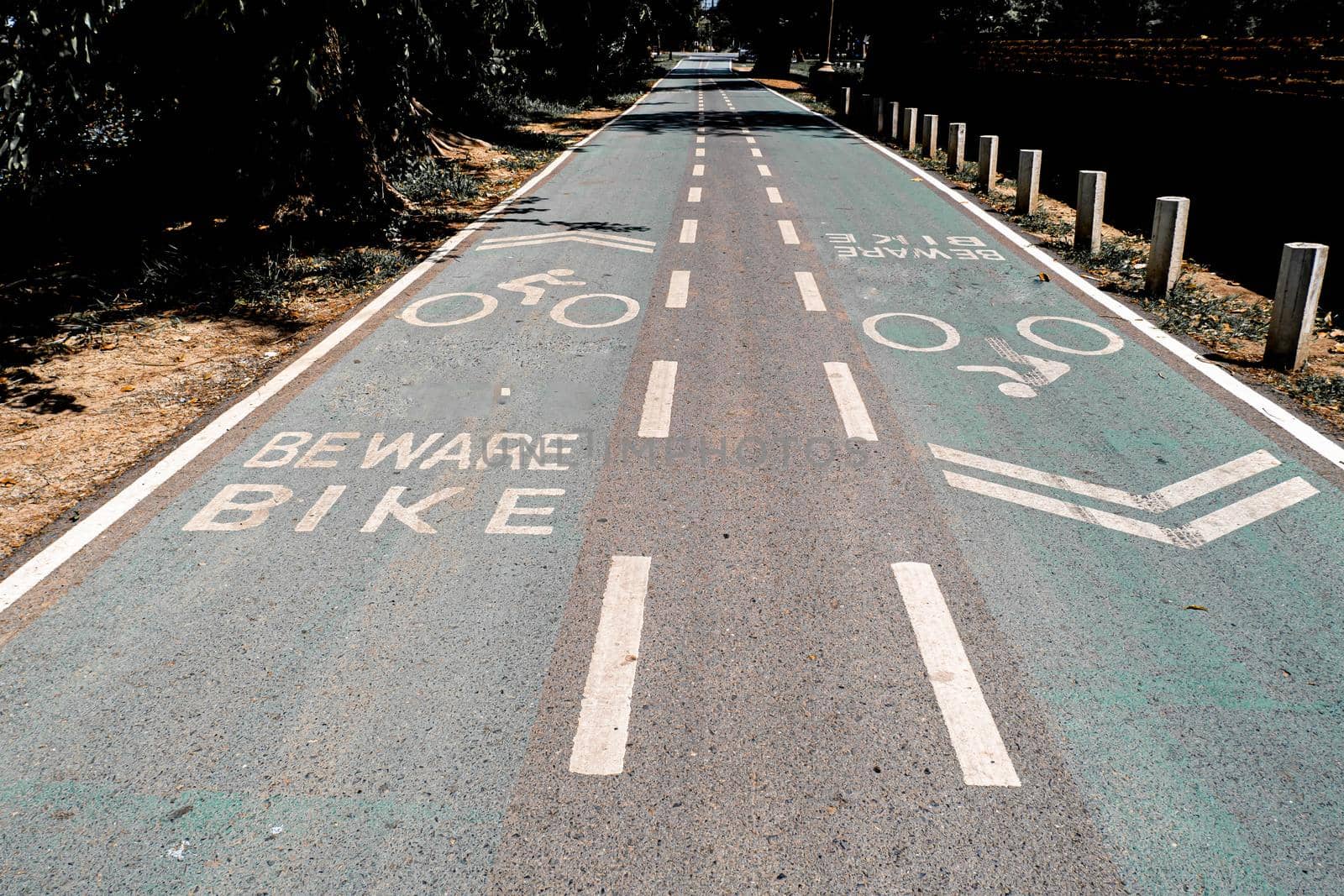 Empty Bike lanes or cycle lanes, bike way with lanes. Symbols cyclists on green road.