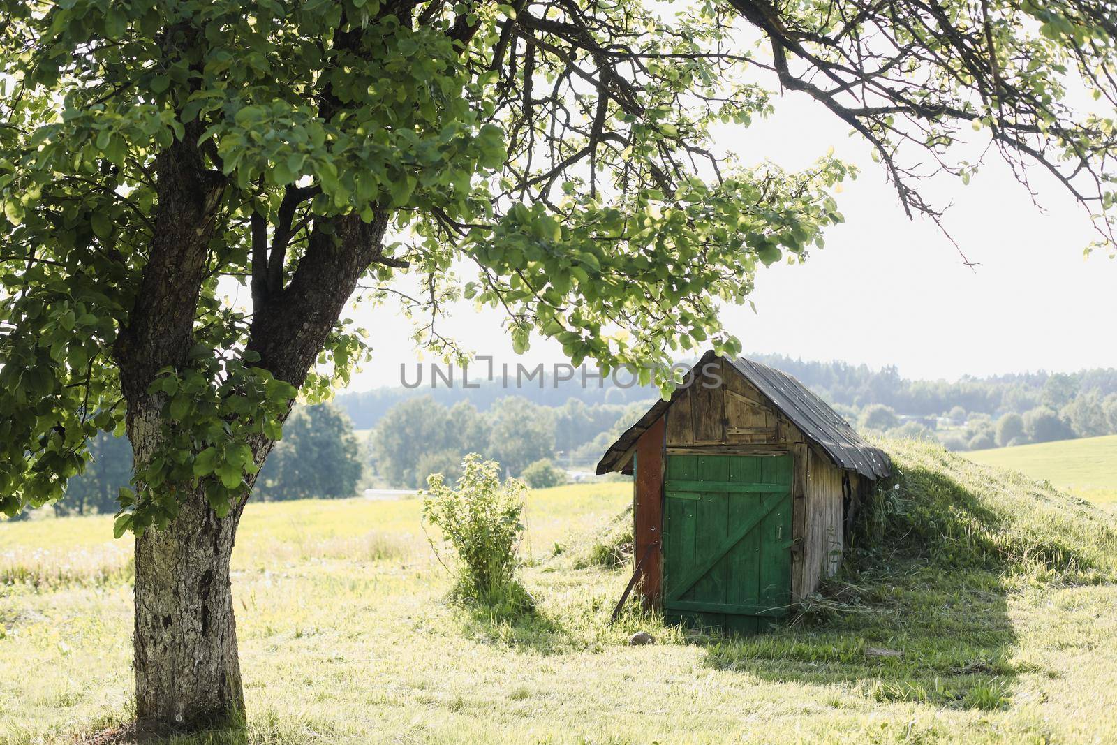 Small wooden house in rural field, view on a farmhouse in countryside, summer scenic landscape.