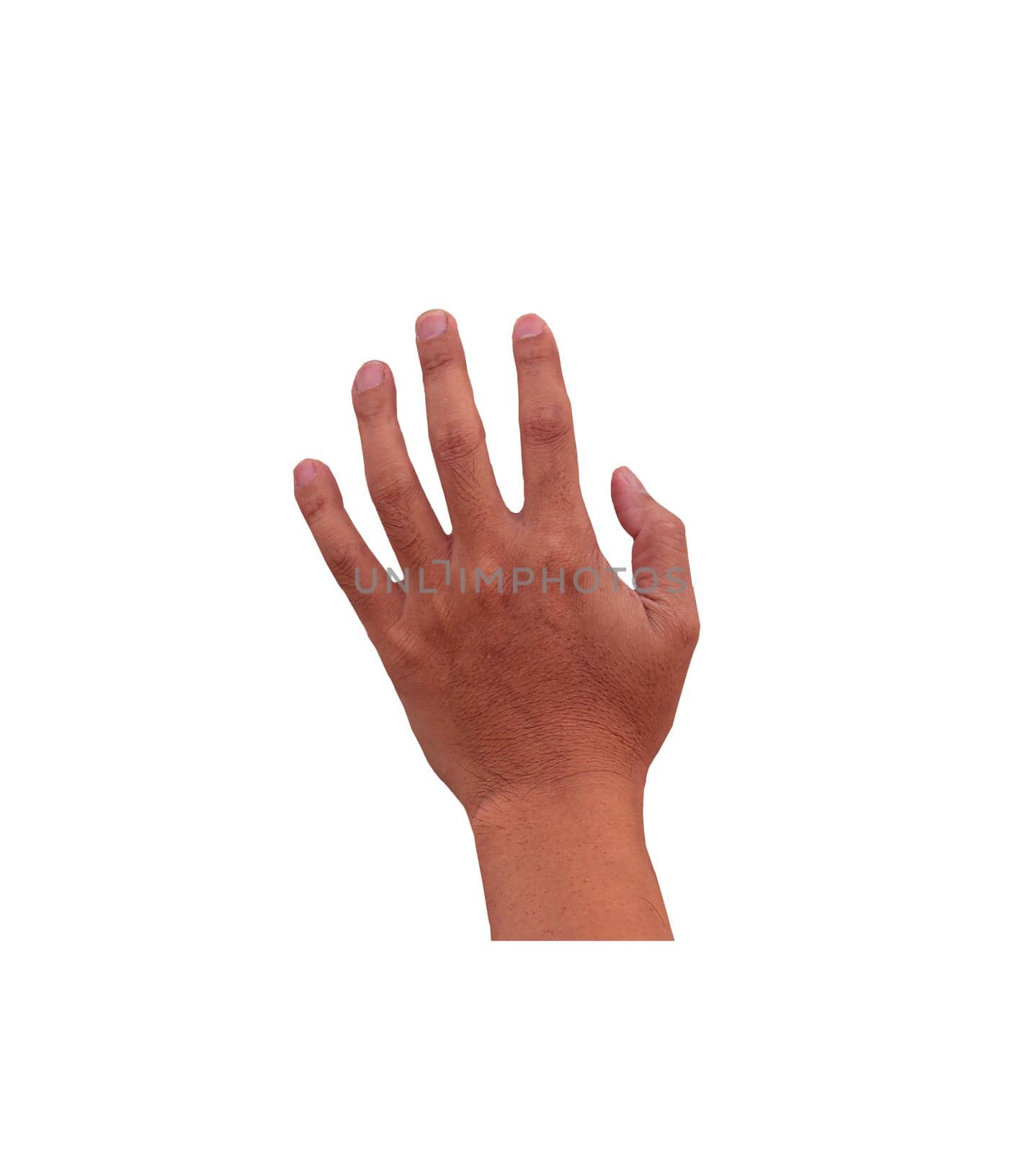 Man hand sign isolated on white background. Human body part represent abstract handcraft.