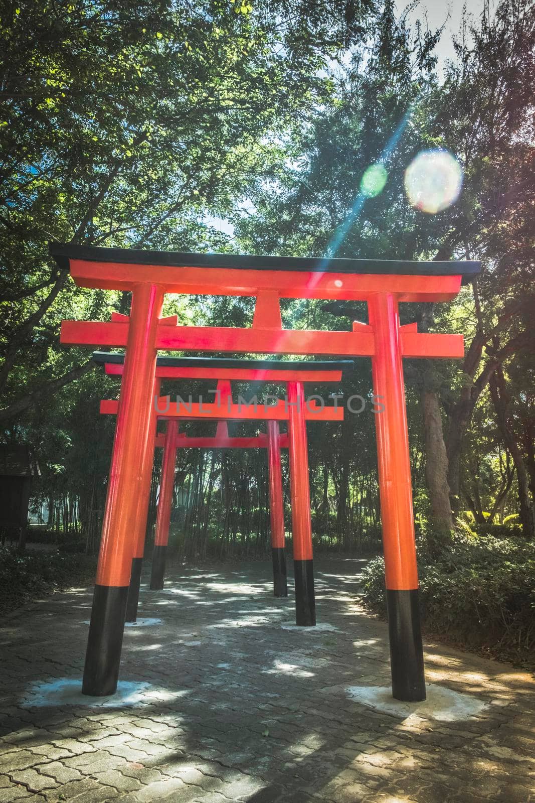 Wooden Japanese gate (Tori Gate) at green forest Japanese culture religion.