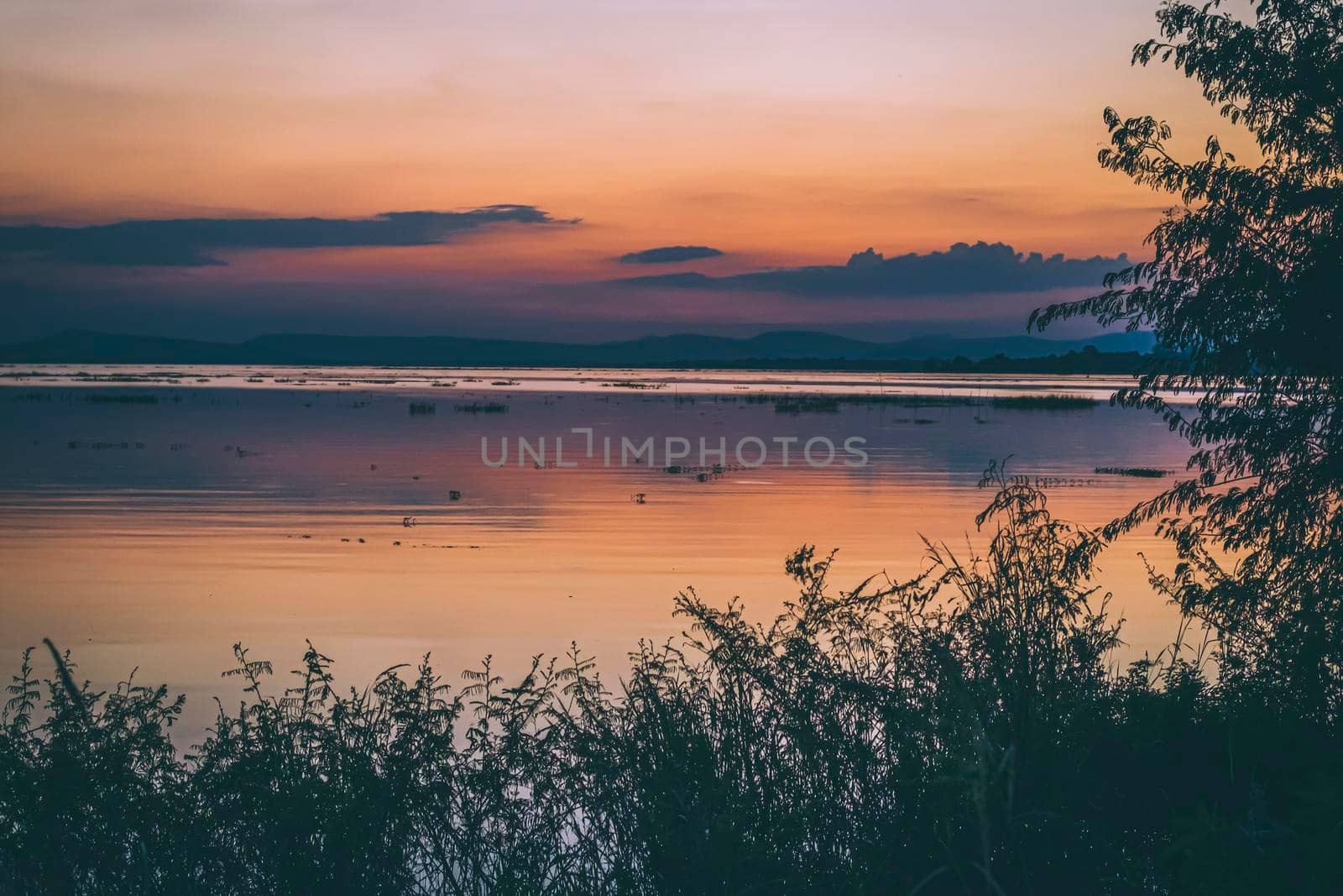 long exposure vanilla colorful sky and  lake reflection with mountains in the background. blurred wild grass blowing in the wind on foreground