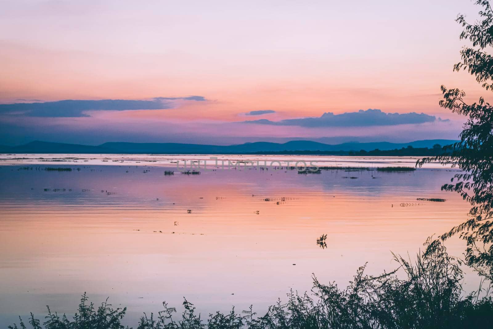 long exposure vanilla colorful sky and  lake reflection with mountains in the background. blurred wild grass blowing in the wind on foreground