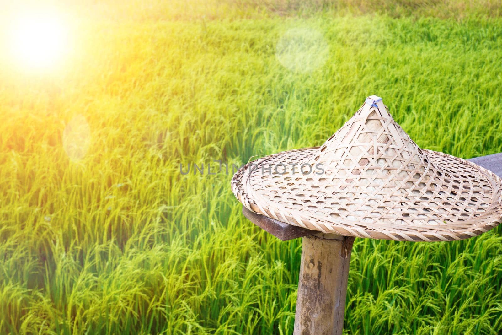 Asian rice hat or coolie hat. Sunny Hill China Guangdong Local Characteristics Hand-Woven Large Conical Hats Sun Hat on the terrace with green rice field on background